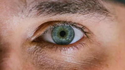 Купить MILL CREEK Цветные контактные линзы Красивый зрачок Косметические  линзы для глаз Искусственный зрачок Степень Контакты Рецепт Близорукость |  Joom