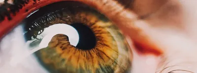 Искусственный глаз» вернул зрение американке
