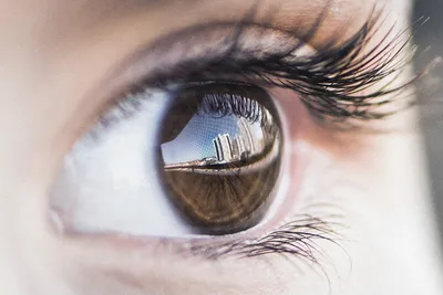 Торакальный хирург - 👁 Ученые разработали искусственный глаз лучше  настоящего Международная команда, возглавляемая учеными Гонконгского  университета науки и технологии (HKUST), недавно разработала первый в мире  искусственный 3D глаз с возможностями ...