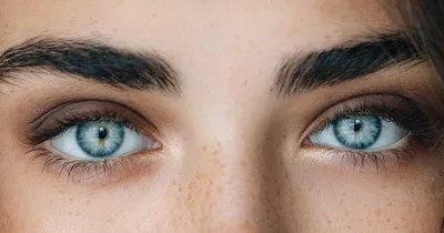 Российские ученые разработали прототип искусственной роговицы глаза /  «Особый взгляд» - портал для людей, которые видят по-разному