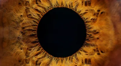 Ученые создали искусственный глаз, способный видеть в темноте