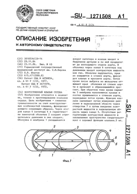 Повторное протезирование клапанов сердца: подходы и устройства (обзор  литературы) | Клышников | Кардиоваскулярная терапия и профилактика