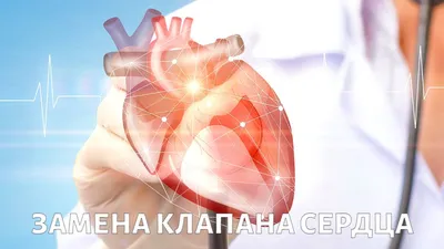 В университете разрабатывают конструкцию искусственного клапана сердца —  Саратовский государственный технический университет имени Гагарина Ю.А.