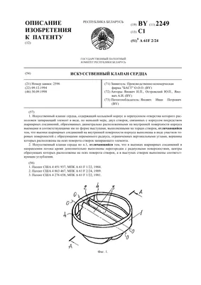 Искусственный сердечный клапан Иллюстрация штока - иллюстрации  насчитывающей артиллерии, анархиста: 127839876