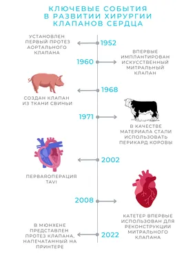 Как жить с искусственным клапаном сердца » Вечерняя Уфа, официальный сайт  газеты \"Вечерняя Уфа\"