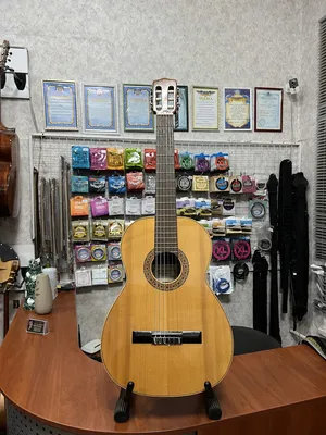 Испанская гитара 599 c. №8144773 в г. Душанбе - Струнные инструменты -  Somon.tj бесплатные объявления куплю продам б/у