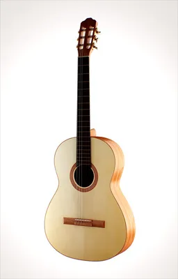 Испанская гитара 3D Модель $9 - .ma .fbx .obj - Free3D