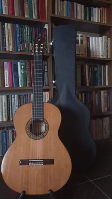 Fantastiko Испанская гитара 58 cm Оранжевый| Kidinn Музыкальные издания