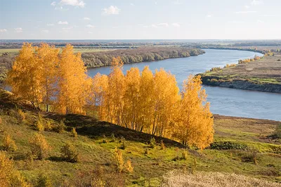 Река Ока – исток, устье, притоки, гидрология, сплав, рыбалка, гидропосты. -  Уровень воды онлайн