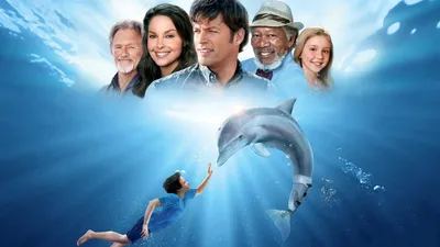Фильм История дельфина 3D (США, 2011) – Афиша-Кино