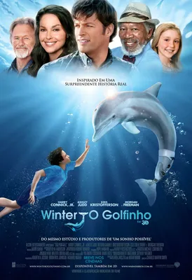 История дельфина (2011) - YouTube