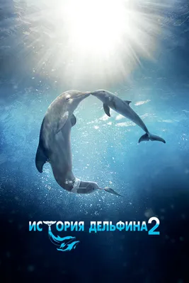 История дельфина 2 - где смотреть онлайн