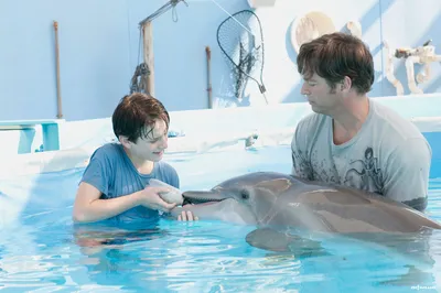 История дельфина с необычном характером - YouTube