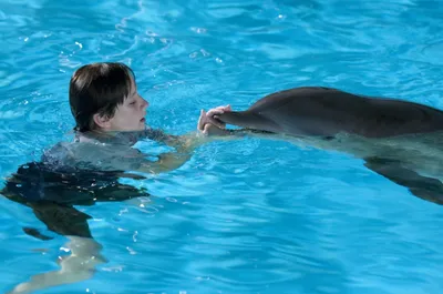История дельфина 2 / Dolphin Tale 2 (США, 2014) — Фильмы — Вебург