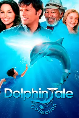 Рецензия на фильм «История дельфина 2»