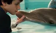 Удивительная история дельфина Винтер