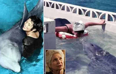 В США умерла самка дельфина, о которой сняли фильм – Москва 24, 12.11.2021