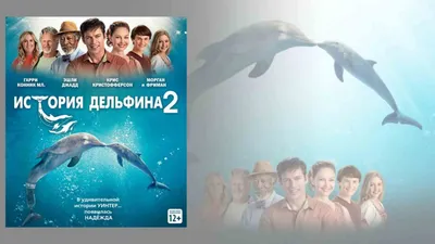 Центр океанографии и морской биологии Дельфиния | ВКонтакте