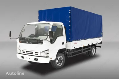 Купить Isuzu Elf Бортовой грузовик 2018 года во Владивостоке: цена 2 700  000 руб., дизель, механика - Грузовики