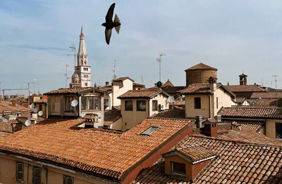 File:Streets in Modena, Italy, 2019, 23.jpg - Wikimedia Commons