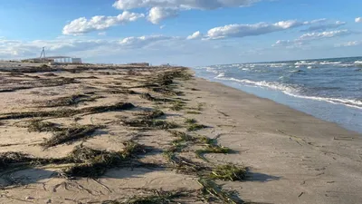 п. Юрьевка на Азовском море - «\"Дикий\" отдых» | отзывы