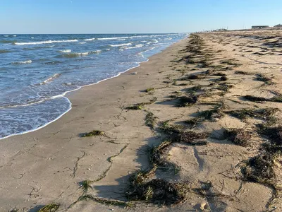 АЗОВСКОЕ МОРЕ: отдых и оздоровление, цены 2024, города