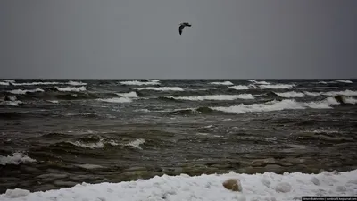 Jurmala beach - Изображение Пляж Юрмалы, Юрмала - Tripadvisor