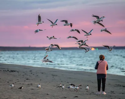 Jūrmala / Юрмала 🇱🇻 | Facebook