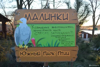 БЕСЕДКА “СОЛОВЬИНАЯ РОЩА” №9 - Южный парк птиц Малинки
