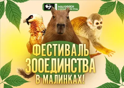 Южный парк птиц Малинки в Шахтах (Россия) с фото и отзывами