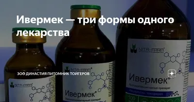 vetfarm.kz - 🔴 Ивермек®-гель применяют собакам и кошкам при саркоптозе,  нотоэдрозе и демодекозе наружно, нанося тонким слоем на предварительно  очищенные от струпьев и корок пораженные места, из расчета 0,2-0,3 мл на 1