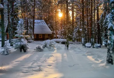 Изба в зимнем лесу | Зимняя фотография, Зимние картинки, Лес