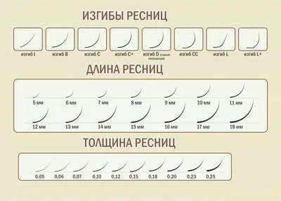 Изгиб ресниц (размер B) - купить в Киеве | Tufishop.com.ua