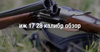ИЖ - 56 -3 \"Белка\" - двухствольное комбинированное ружьё калибр 28 и 5,6  (22 LR) купить - Симферополь