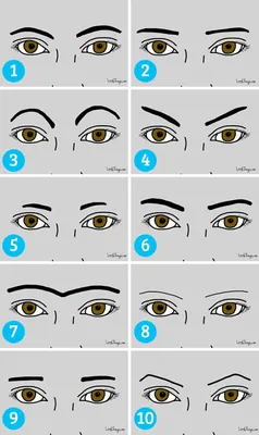 6 основных форм брови с титрами Иллюстрация вектора - иллюстрации  насчитывающей персона, классицистическо: 8067… | Eyebrow shape, Threading  eyebrows, Eyebrow design