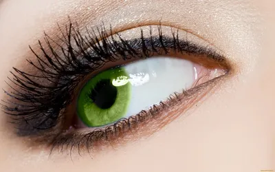 Зеленые глаза стоковое фото ©olgasweet 3808926