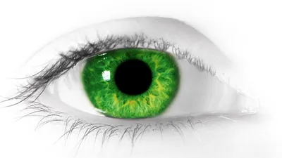 Green eye | Глаза, Цвет глаз, Зеленый