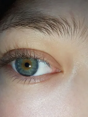 Карие, голубые или зеленые: какой цвет глаз будет у вашего ребенка | PARENTS
