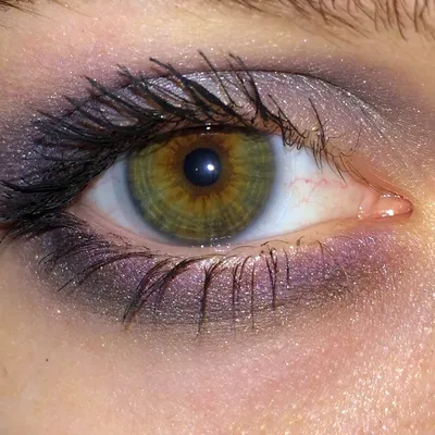 Эстетика серо-голубо-зеленых глаз | Зеленые глаза, Глаза, Эстетика