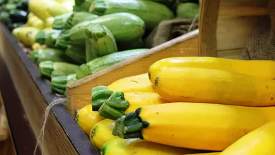 https://us.nikitovka.com/ru/kabacok-patisson/1130-squash-zucchini-bushy-4823094026246.html