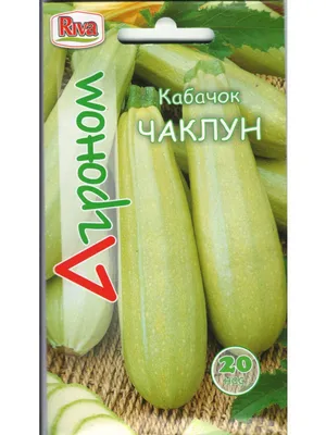 Кабачок Кустовой 20г | Семена кабачков | Фиалка.net