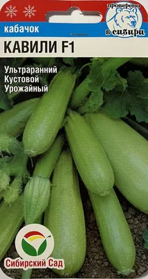 Семена кабачков | кабачок алия f1 5 семян кустовой ранний, tezier