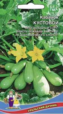 Кабачок кустовой Чаклун семена Агроном 20 шт (ID#1588287374), цена: 7 ₴,  купить на Prom.ua