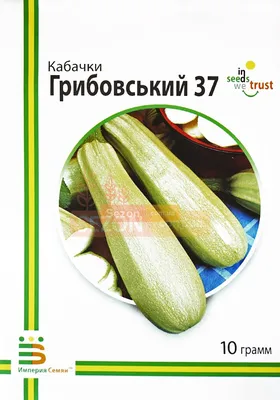 Кабачки Агрофирма Аэлита Бахчевые - купить по выгодным ценам в  интернет-магазине OZON (584863311)