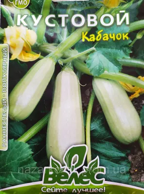 Семена Кабачок Кустовой / 1 кг ✔️ 280 грн. ᐉ Насіння овочів в Обухові на  BON.ua 89669079