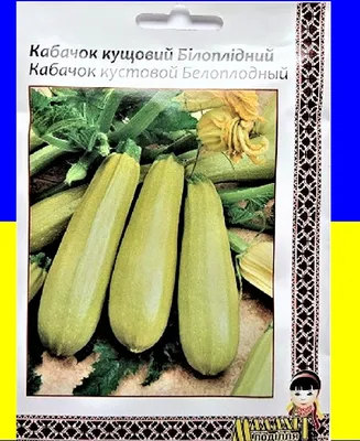 Кабачок Кустовой (ID#1151283046), цена: 12 ₴, купить на Prom.ua