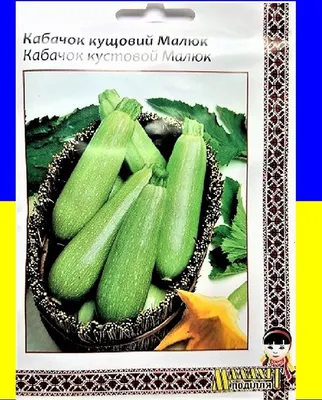 Кабачок цуккини Аэронавт 2г, семена | Купить в интернет магазине Аэлита