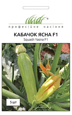 Купить Кабачок Нефрит в Минске, масличные культуры оптом и в розницу |  GreenTerra.by