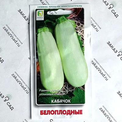 Кабачок Эклер F1 (Asia Seed) - купить семена в Украине: отзывы, цена,  описание ᐉ Agriks