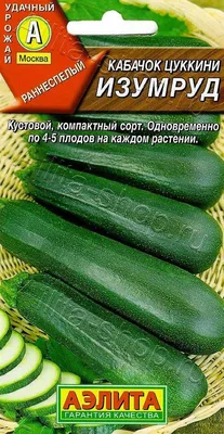 Купить семена Кабачок Горный 20 гр в Волгограде c доставкой по России -  «АгроОнлайн»